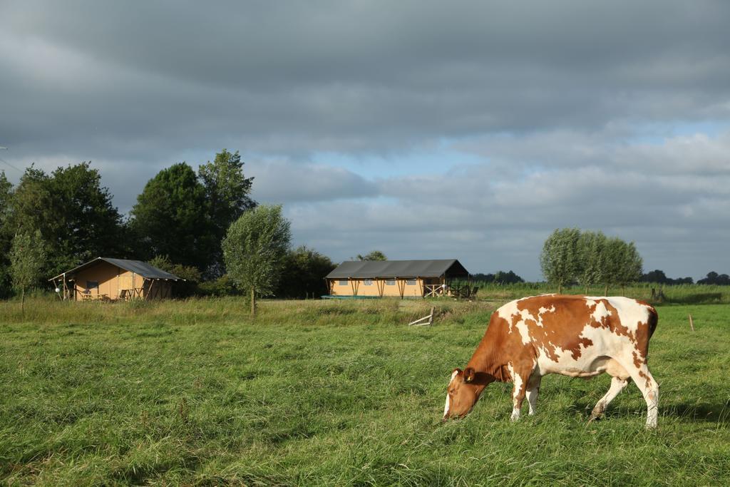 Aan Het Diepje * Lettelbert